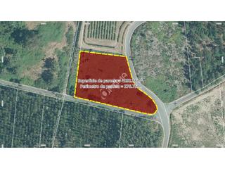 Terreny residencial a Lugar sarandon 7. Terreno en venta en sarandón ideal para plantación de viñedo, ay