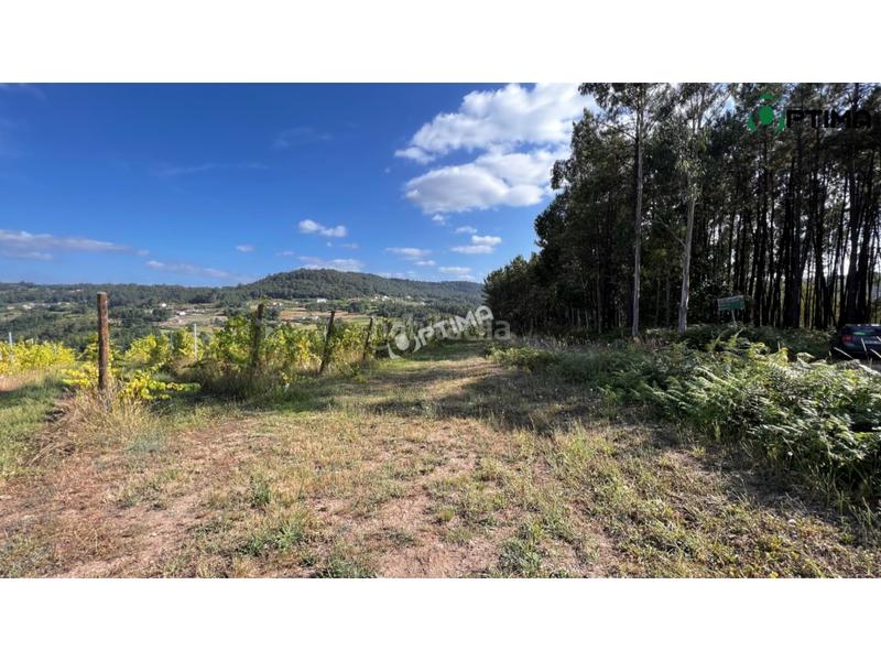 Foto 68e61cc1-48a9-4a51-be03-88a75c77a20c. Terreno residenziale in lugar sarandon 7 in Vedra