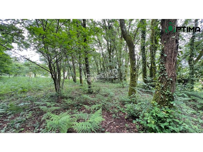 Foto 233e7645-51bb-4485-a02e-9c155ffeff50. Residential plot in Teo