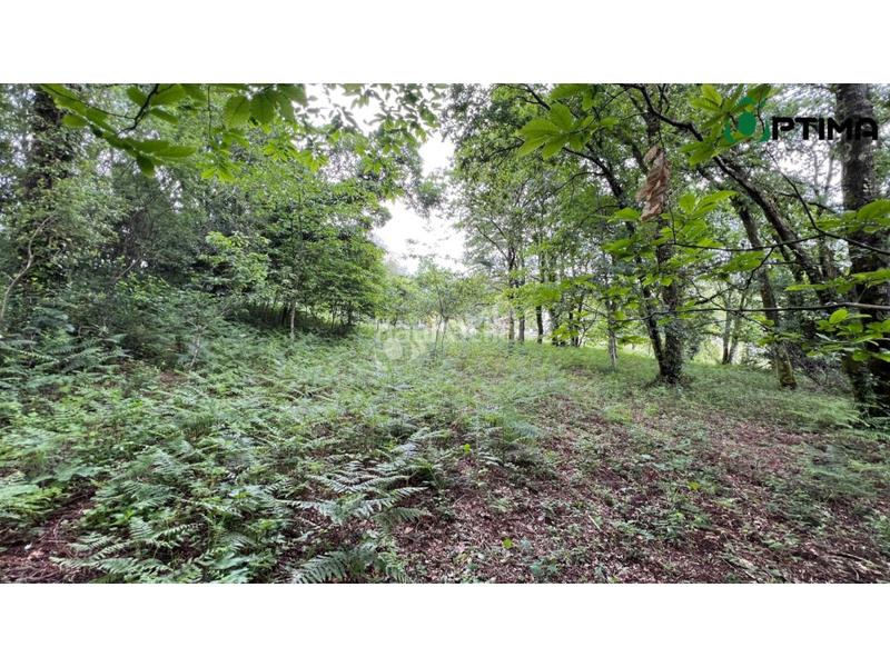 Foto 2799c0bd-c3b4-4406-8140-08ef5906e9b5. Residential plot in Teo