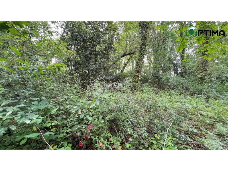 Foto 328ac58c-600b-444a-8155-eb9e354393f5. Residential plot in Teo