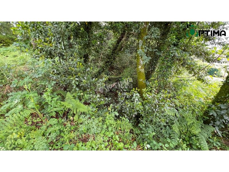 Foto 3487105d-4bb1-4f02-96d3-3b7c6294c4e9. Residential plot in Teo