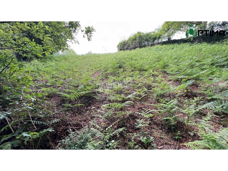 Foto 7cc93c5a-8f45-4053-a3ec-a8911226cf92. Residential plot in Teo