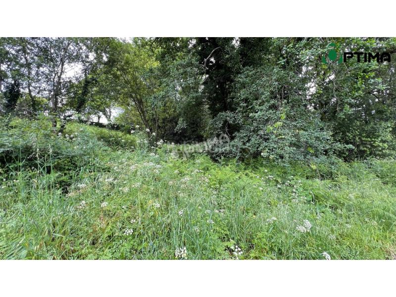 Foto b1f64a5b-daa4-48e9-aced-c847d72ce83d. Residential plot in Teo