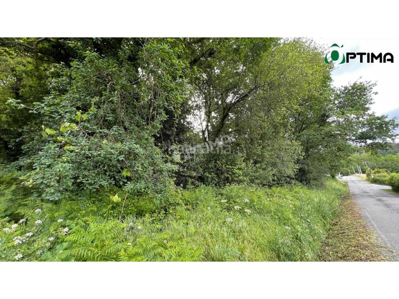 Foto bf234ac7-5a38-4bfe-90c9-3cf2b85dd5b1. Residential plot in Teo