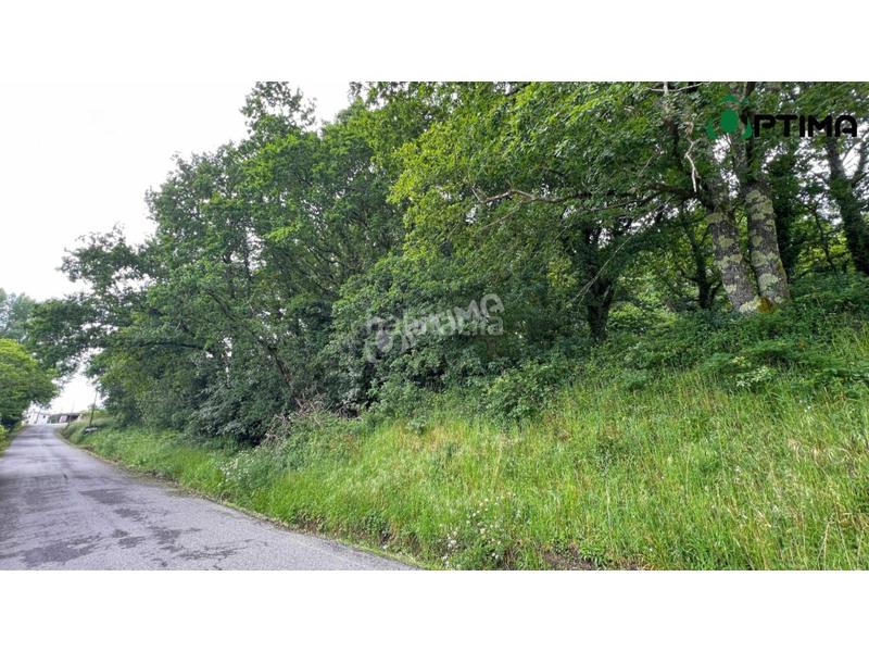 Foto d1b3ea70-f884-47b4-b6a3-3e403e994c6e. Residential plot in Teo