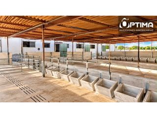 Casa in Bollullos Par del Condado. Inversión explotacion agroganadera ctra. sevilla  huelva