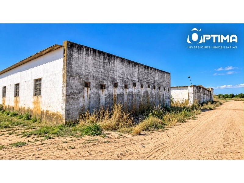 Foto 02281fd5-374a-456e-8b8a-1d3dd3bf3704. Casa inversión explotacion agroganadera ctra. sevilla huelva en Niebla