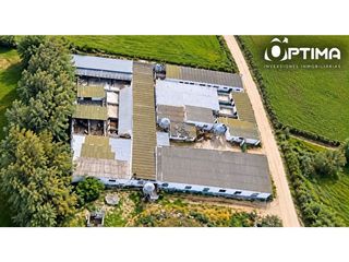 Casa in Niebla. Inversión explotacion agroganadera ctra. sevilla  huelva