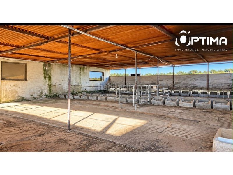 Foto 17a07657-3d34-4bfe-b577-1bb3fa2c603c. Casa inversión explotacion agroganadera ctra. sevilla huelva en Niebla
