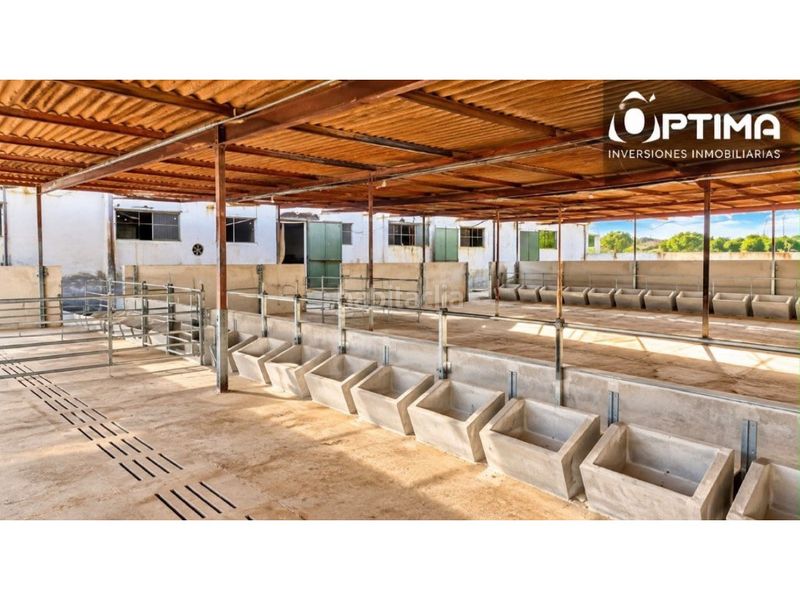 Foto 457f8530-f6d0-4d6b-a1ca-fe27c8951174. Casa inversión explotacion agroganadera ctra. sevilla huelva en Niebla