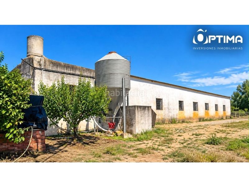 Foto e7d1440d-aaae-4c6f-912c-c3eb19e13f76. Casa inversión explotacion agroganadera ctra. sevilla huelva en Niebla