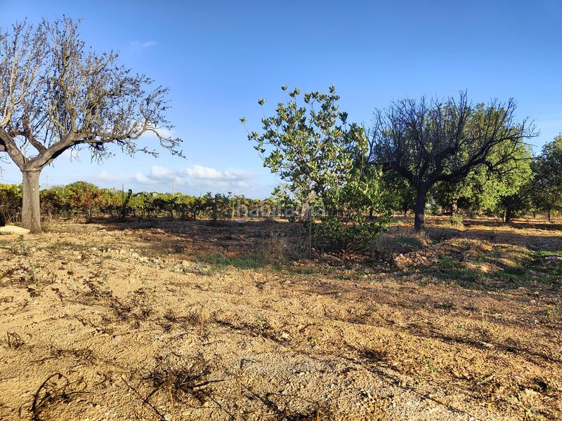 Foto 12a26c1b-5621-4804-b911-b08191395c53. Terreno residencial finca rústica en venta en Consell
