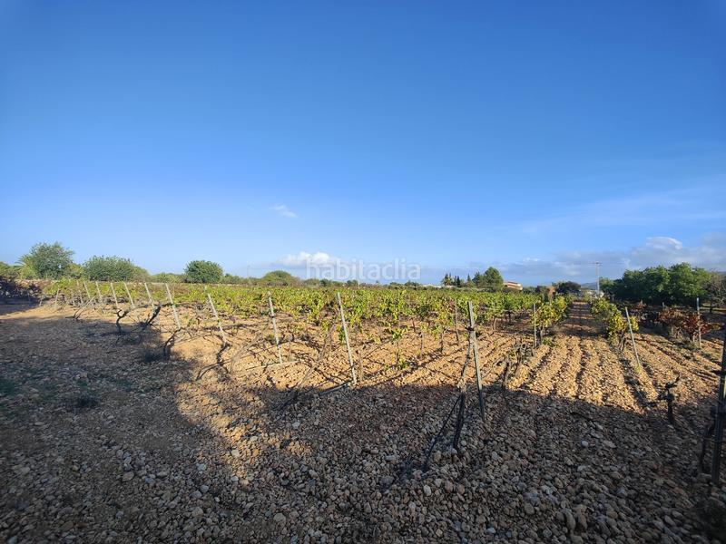 Foto 5ce5effe-0df3-4d98-b2a1-a982ddfbe23f. Terreno residencial finca rústica en venta en Consell