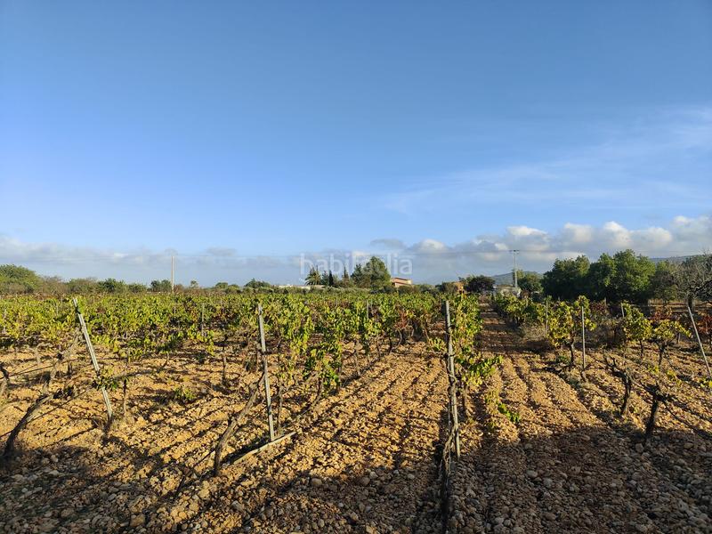 Foto 5ee54e75-daf3-4f97-a3b4-a59e163fc568. Terreno residencial finca rústica en venta en Consell