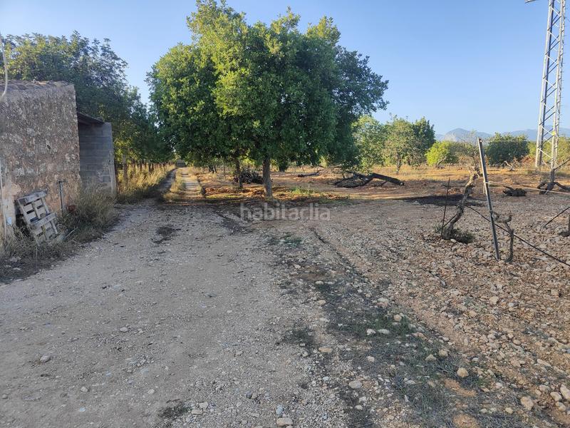 Foto 6763f5fa-4b44-4107-a1ab-09eea7a7d796. Terreno residencial finca rústica en venta en Consell