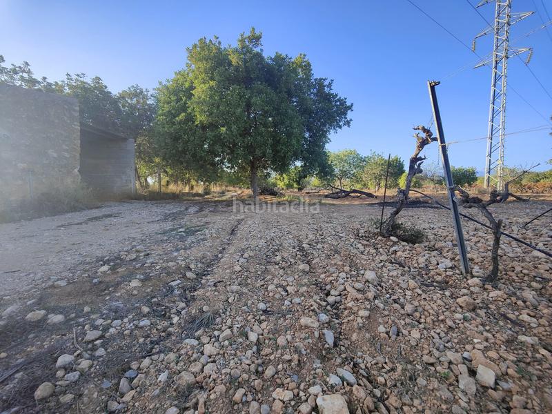 Foto b1724c37-9fea-47c3-af38-b0af1065693e. Terreno residencial finca rústica en venta en Consell