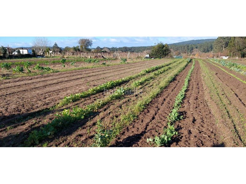 Foto 190ef03d-c4d9-4b37-8499-5ca5e786dbdc. Finca rústica a Ribadumia