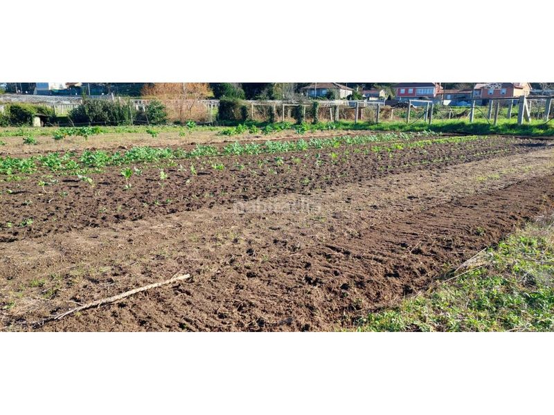 Foto 2f46f4c7-4137-47d7-aab4-06f25161b093. Finca rústica a Ribadumia