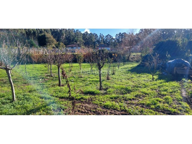 Foto 3e92f69b-1526-4c10-8b73-9b6ecc83d6eb. Finca rústica a Ribadumia