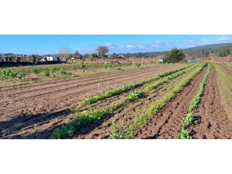 Foto 57fe73f3-6480-41ff-8c0b-16381a0aa499. Finca rústica a Ribadumia
