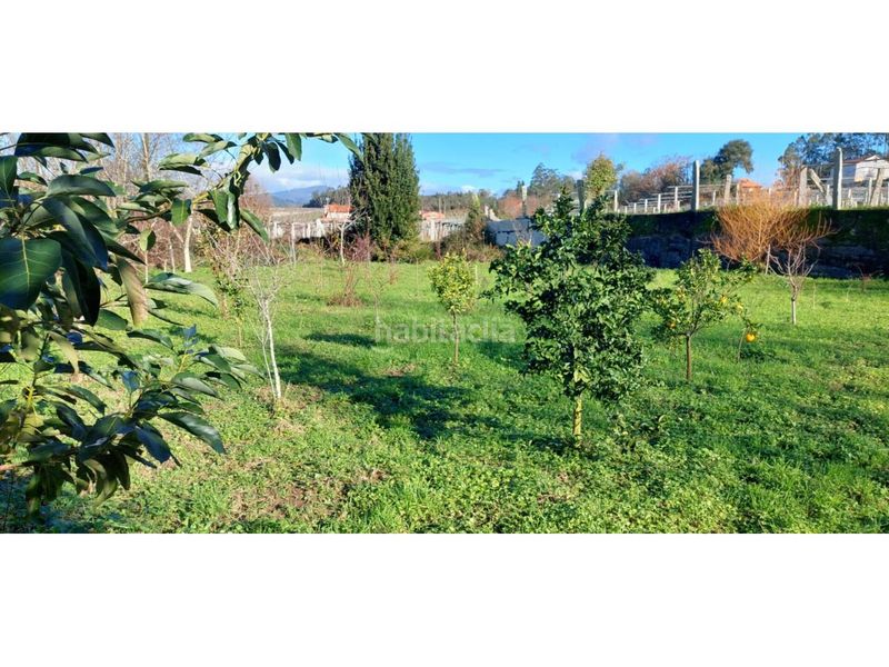 Foto 797ecf79-3524-47e6-bfa1-11b0ed234c73. Finca rústica a Ribadumia