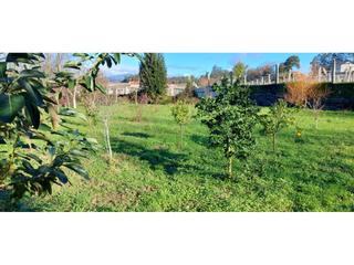 Finca rústica a Ribadumia. Terreno en venta en lois