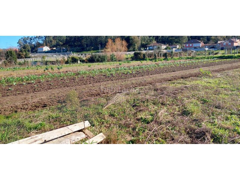 Foto 999255f7-adb8-479e-ada4-1b8a24a07132. Finca rústica a Ribadumia