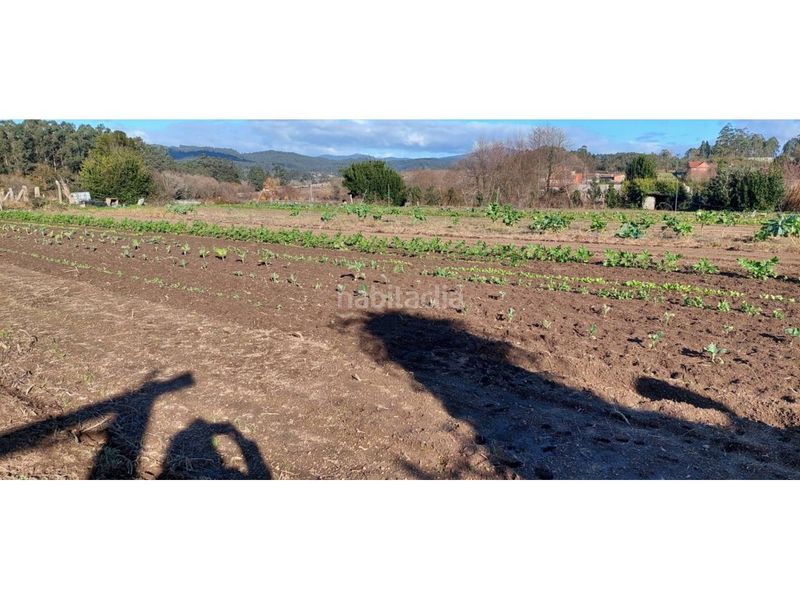 Foto c751a7f7-a565-48cd-bf5a-4e4b15d9bf9f. Finca rústica a Ribadumia