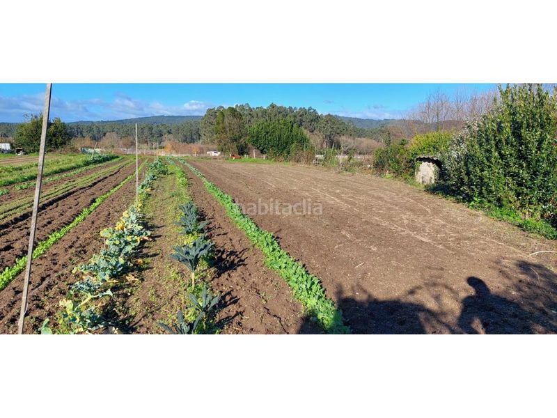 Foto f03a8c0c-6a54-4e6e-92b5-92c6d649d260. Finca rústica a Ribadumia