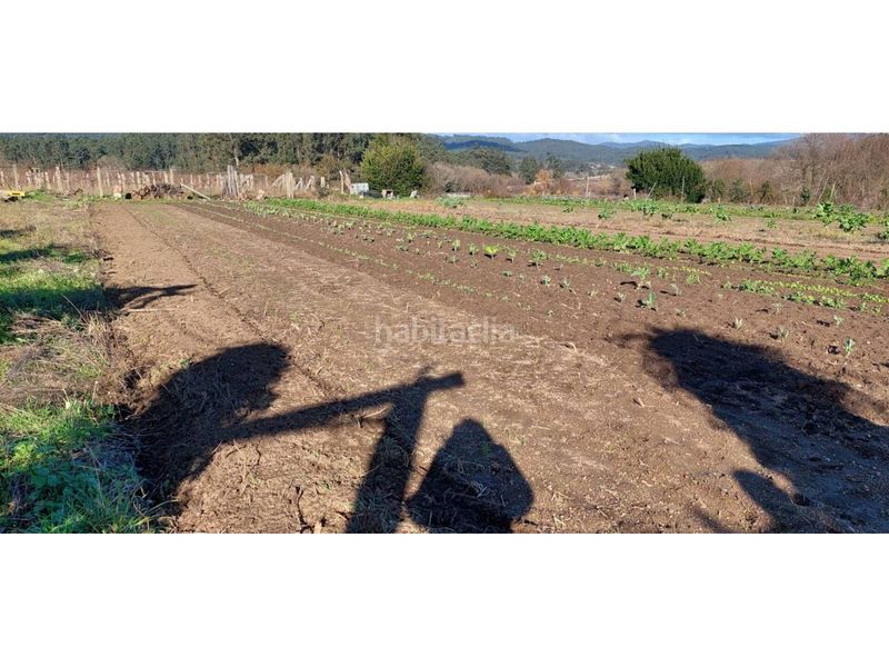Foto ff8ec8b6-2abf-4ade-8f3e-255e87152251. Finca rústica a Ribadumia