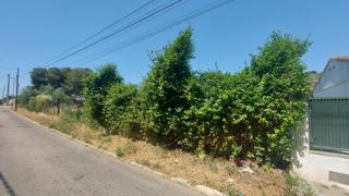 Terreny residencial a Segur de Calafell Nucli Urbà