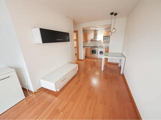 Appartement  Pau vila. Pis 1 habitació amb parking. seminou