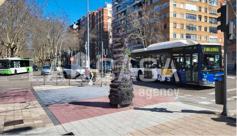 Foto dadfae7e-738e-4a29-a187-0a049a702944. Aparcament cotxe a Plaza de Toros Valladolid