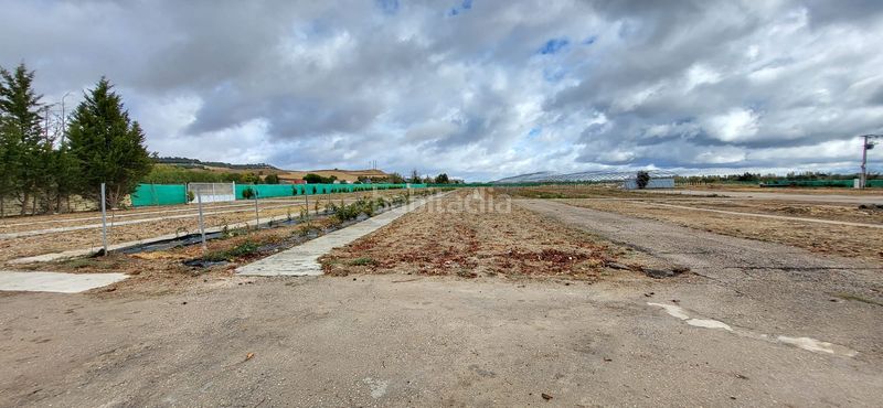 Foto f888a17a-d371-4437-a7eb-0a4b364445f5. Terreny residencial a Simancas