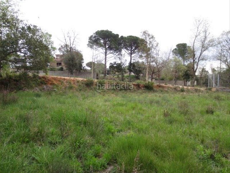 Foto f17b8c3d-9a00-4039-9e6a-bdb9195db4a6. Terreny residencial a Sils