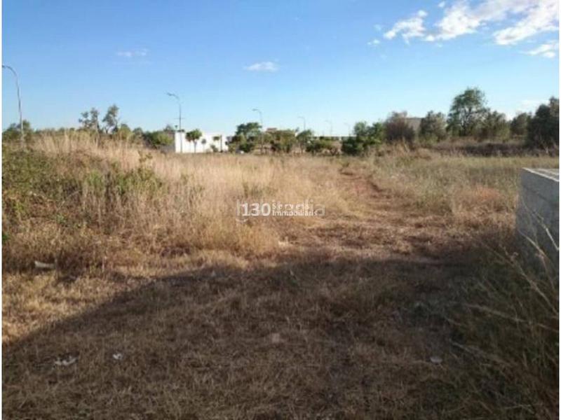 Foto 1000f5ea-f046-4360-b2c7-2ce63fb62dad. Landgut in Alcanar