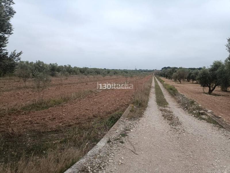 Foto b1b4c96a-2245-4149-9b55-50eaa56bcade. Casa  en venta en els valentins en Ulldecona