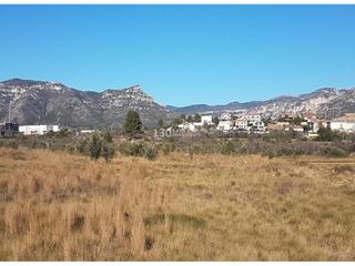 Finca rústica  Domenges. Terreno en venta en la sénia