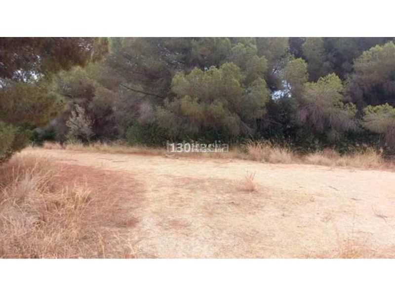 Foto 1213f499-65a3-44b1-b890-421f1331c09d. Finca rústica terreno en venta en Urbanitzacions Arenys de Mar