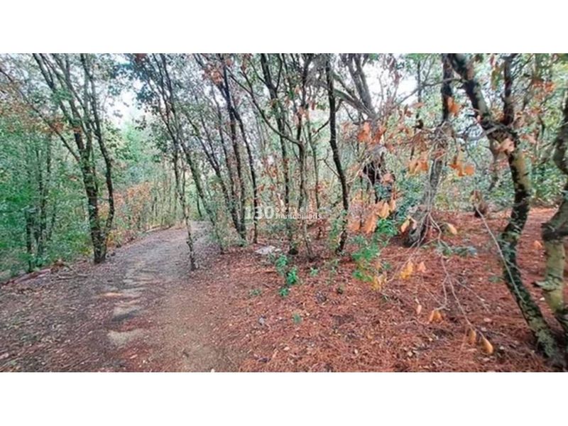 Foto 8601b7ba-4e95-414a-b8a4-670aa739a327. Finca rústica terreno en venta en Urbanitzacions Arenys de Mar