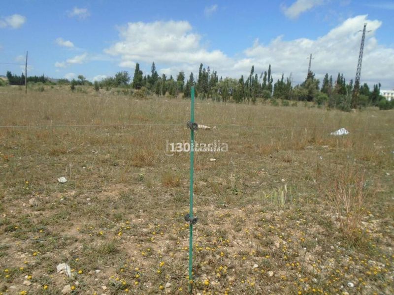 Foto 503e4067-00c5-4f35-9fa4-39a12554c965. Finca rústica a Aldea (L´)