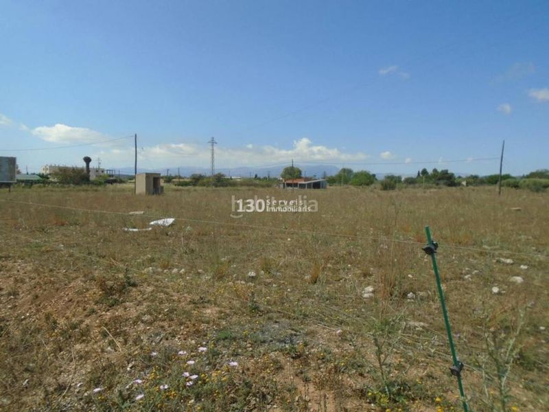 Foto 71ce9611-5a51-496b-a6c7-113e16c75fc8. Finca rústica a Aldea (L´)