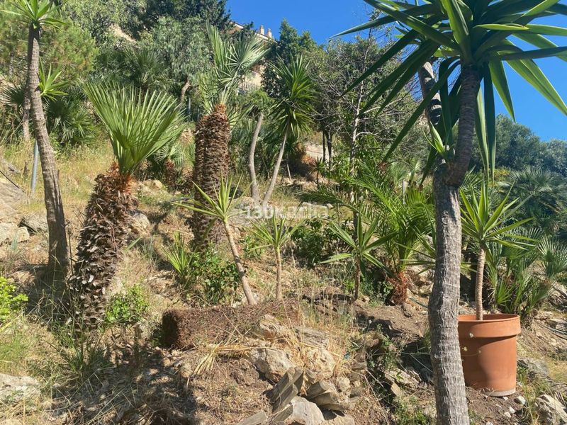 Foto c37ab4df-87c6-4dd1-a982-fd6fc4faecde. Casa amb aparcament piscina a les botigues de Sitges Sitges