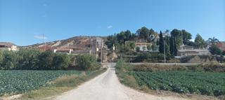 Finca rústica  Calle vereda pepe el alguacil. Ribera alta parcela rustica
