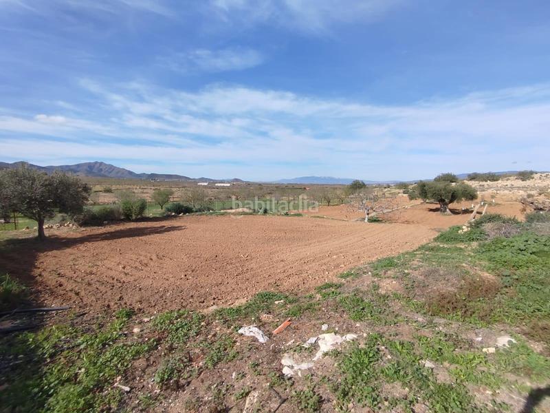 Foto ac2de898-bb6c-48a2-865b-30fac644e7f3. Casa in La Pinilla - Las Palas Fuente Álamo de Murcia