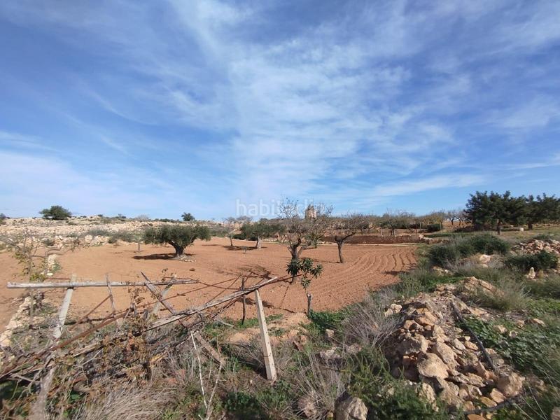 Foto d1d4c5d5-5597-47b0-8aae-6939ea4f1e5a. Casa in La Pinilla - Las Palas Fuente Álamo de Murcia