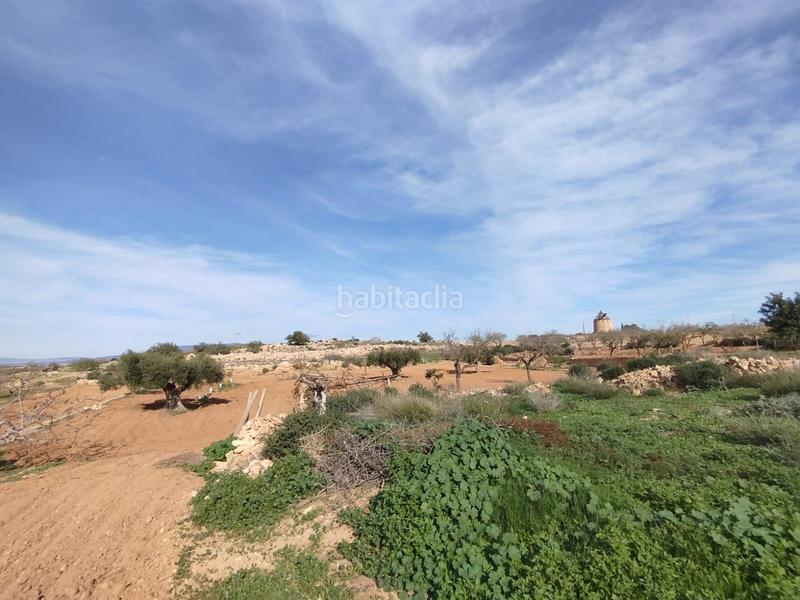 Foto ea56b144-d167-4125-bf92-c39c0c2585c2. Casa in La Pinilla - Las Palas Fuente Álamo de Murcia