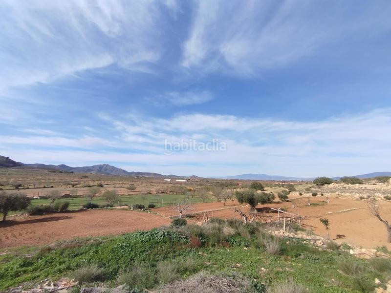 Foto fae0417c-11ca-42eb-89a5-0ff8bfe733f8. Casa in La Pinilla - Las Palas Fuente Álamo de Murcia