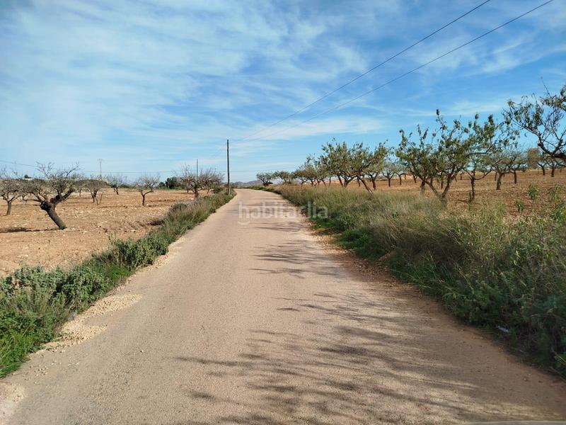 Foto ff95489a-2dae-4a5a-9229-1c063be00079. Casa in La Pinilla - Las Palas Fuente Álamo de Murcia
